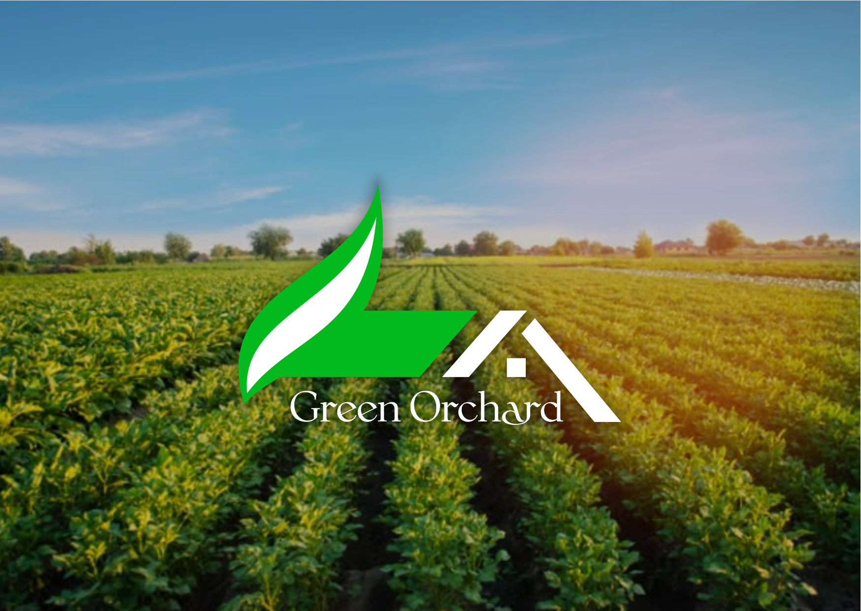 Green Orchard